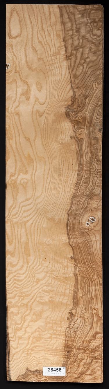 Olive Ash Burl Wood Veneer Sheets