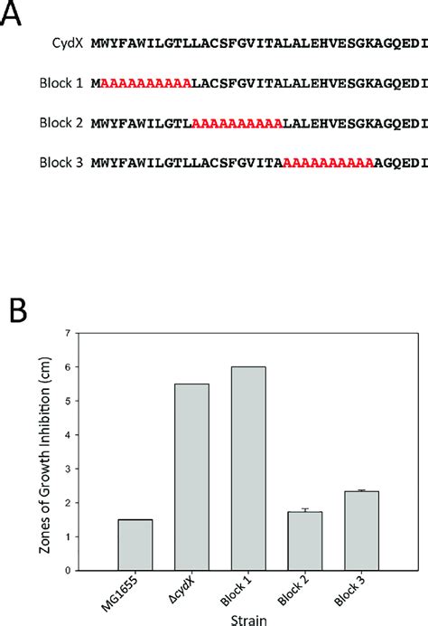 Sensitivity Of Alanine Block Cydx Mutants To Mercaptoethanol A