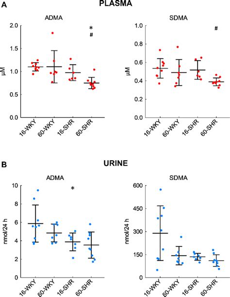 Plasma Concentrations A And Urinary Excretion B Of Adma And Sdma In