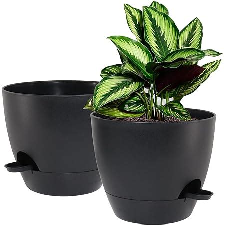 Amazon Wousiwer Inch Self Watering Planters Pack Large