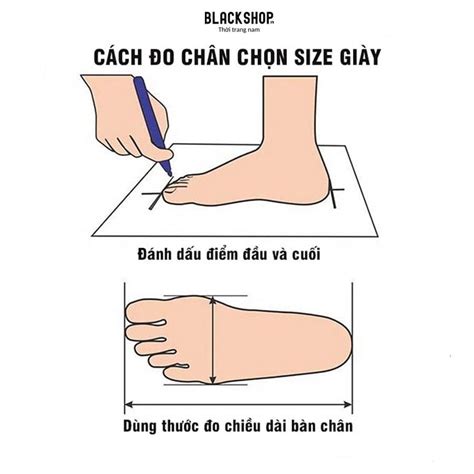 Cách Đo Size Giày Thể Thao Chính Xác Nhất Hướng Dẫn Chi Tiết Từ A Z