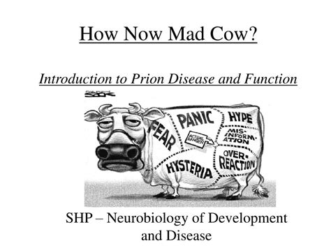 Ppt How Now Mad Cow Introduction To Prion Disease And Function