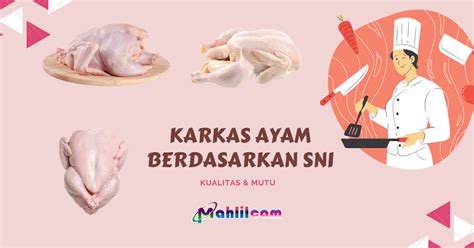 Kualitas Mutu Karkas Ayam Berdasarkan Sni