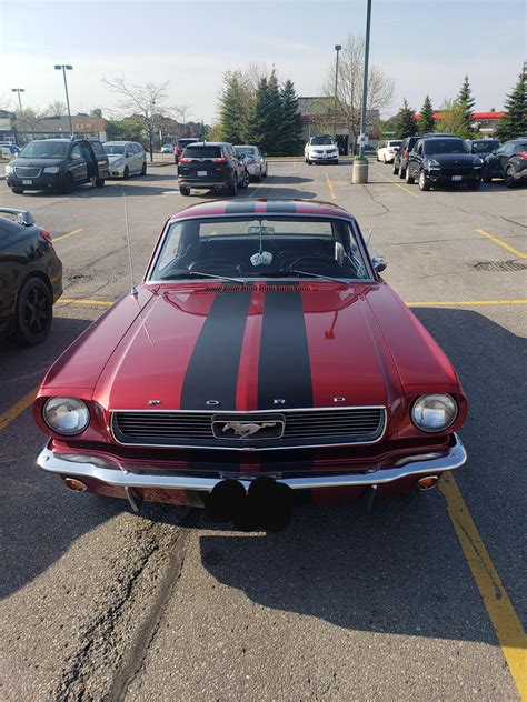 Woohoo Saw A 66 Mustang 289 With 225 Horsepower Rautos
