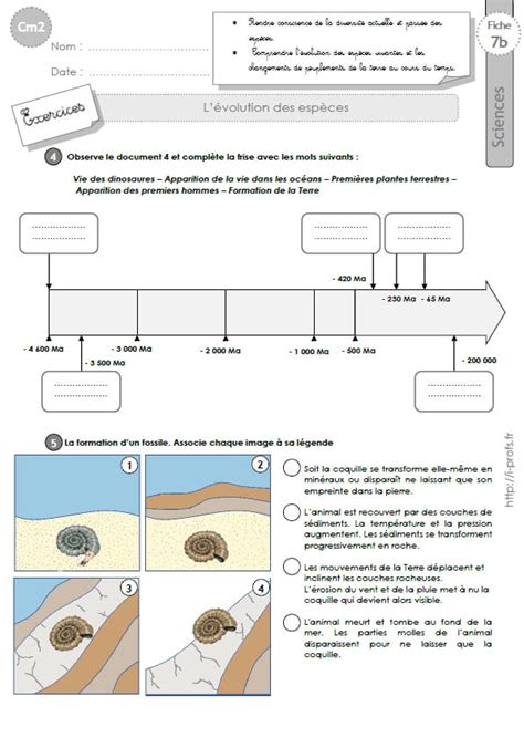 Cm Exercices Sur L Volution Des Esp Ces