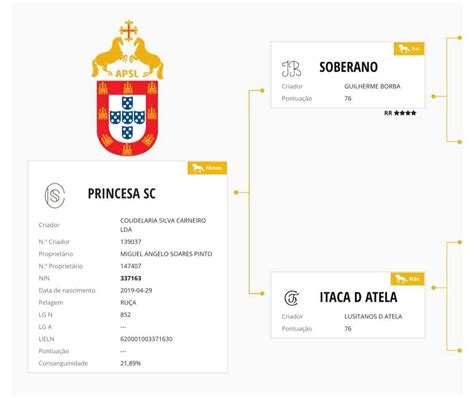 Poldras Psl Disponiveis Esposende Marinhas E Gandra Olx Portugal