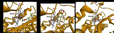 Analysis Of Binding Mode Of Ligands Following Ns Md Simulation A