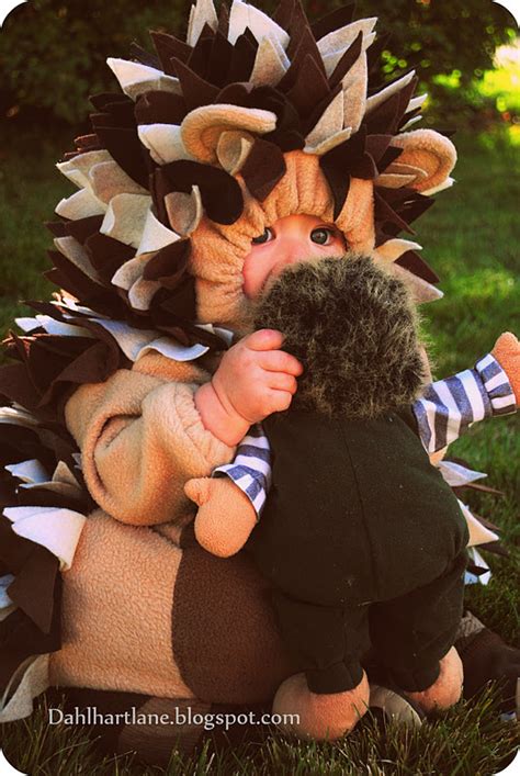 Dahlhart Lane: Hedgehog Costume