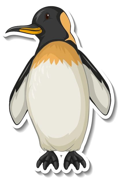 Pinguim Dormindo Imagens Download Grátis no Freepik Proteção e