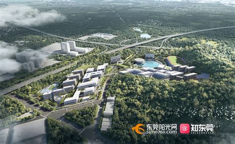 大湾区大学（松山湖校区）、香港城市大学（东莞）校园工程高质量建设暨培训会议召开东莞阳光网