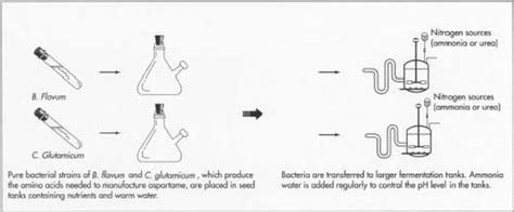 Manufacturing Process - Aspartame