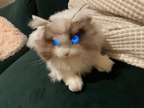 I Just Spent A Week With A Robot Cat And My Life Will Never Be The Same