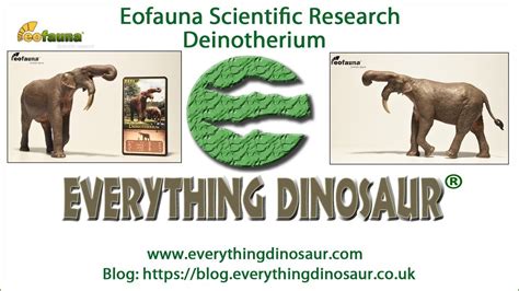 Eofauna Scientific Research Deinotherium Is In Stock YouTube