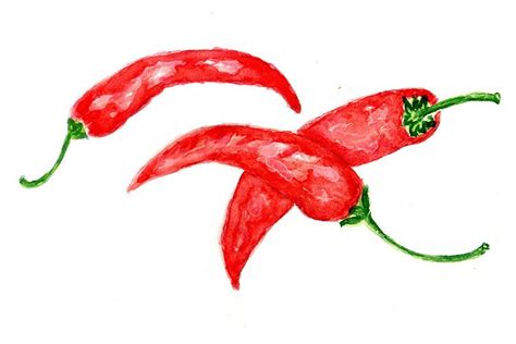 Chili Pepper Drawing Graphic by AnnArtshock · Creative Fabrica