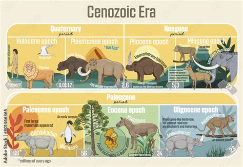 Cenozoic Era: Geological timeline spanning from the Paleocene Epoch to ...