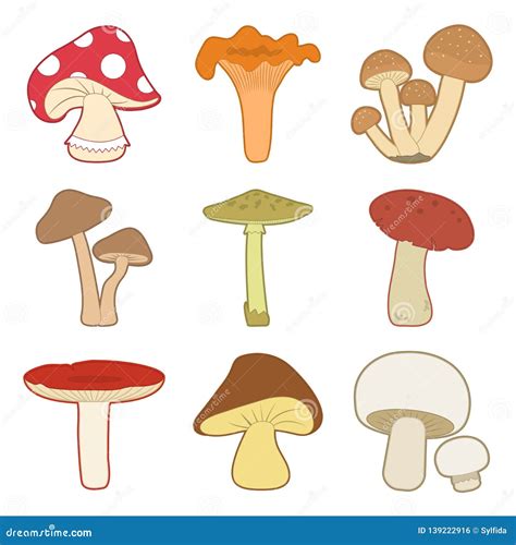 Colorful Mushrooms Vector Set Vector Illustration Stock Illustration