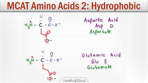 Hydrophobic Non-Polar Side Chain Amino Acids