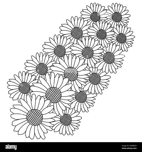 Tournesol Dessin Ligne Art Vecteur Noir Et Blanc Anti Stress Coloriage