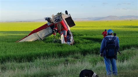 Piloto Resulta Ileso Tras Caer Avioneta En Cultivos De Arroz En