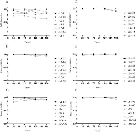 Plasmid Stability Results Of Transconjugants With And Without