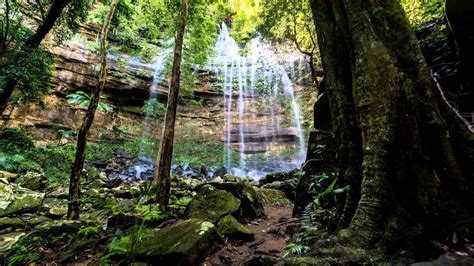 The Watagans Gap Creek Falls Youtube