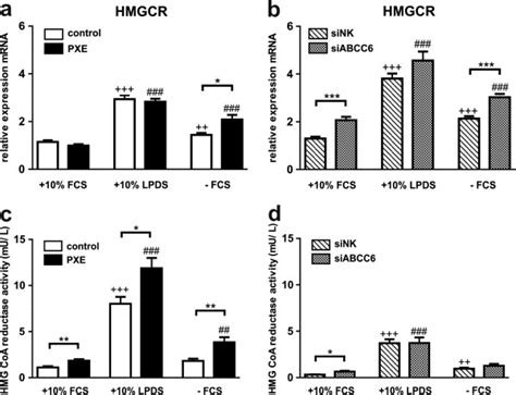 Gene Expression And Enzyme Activity Analysis Of Hmg Coa Reductase