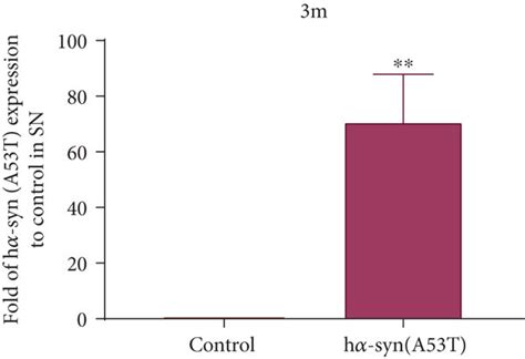 Exogenous High H Syn Expression In The Snc A Representative Images