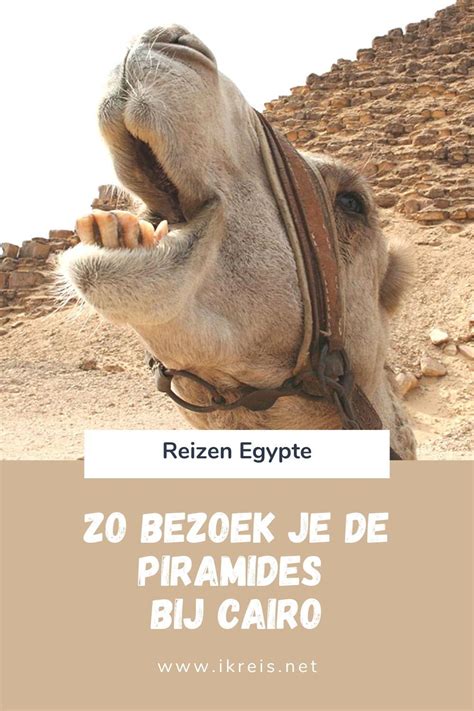 De Piramides In Egypte Zijn Een Hoogtepunt Van Je Egypte Vakantie