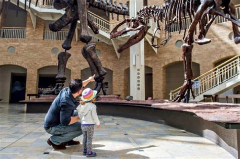 41+ FASCINATING MUSEUMS IN ATLANTA YOUR FAMILY WILL ADORE