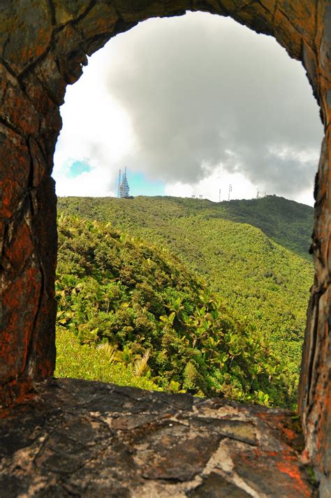 Hiking The Northern Slope Of El Yunque National Forest