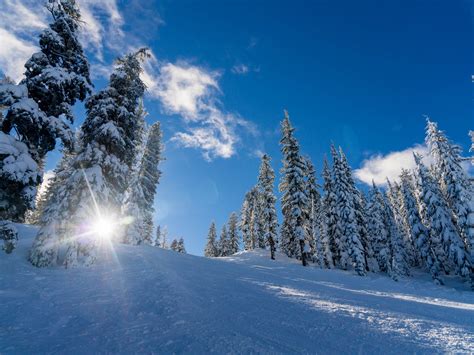 Fonds D Cran Hiver Neige Paisse Arbres Soleil X Uhd K Image