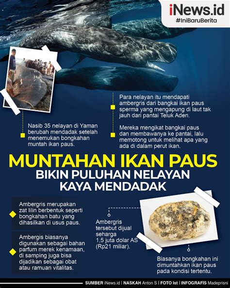 8 Fakta Muntahan Ikan Paus Bernilai Miliaran Rupiah Nomor 7 Pernah