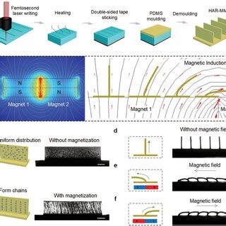 Switchable Wettability Of Janus Harmma And Magnetically Responsive