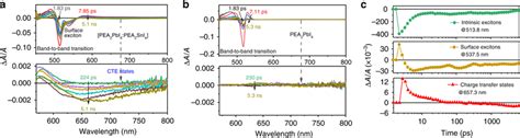 Transient Absorption TA Characteristics For 2D Perovskite