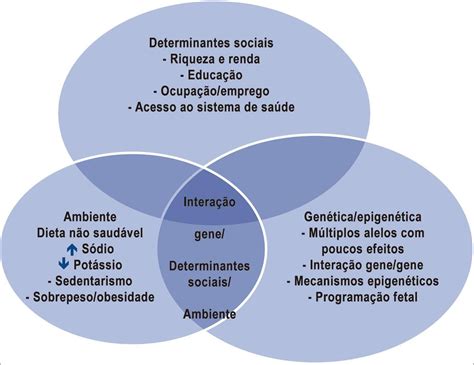 Mapas Mentais Sobre Determinantes Sociais Da SaÚde Study Maps