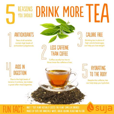 Benefits of Drinking Tea | 5 Reasons to Start Sipping Now | Suja Juice ...