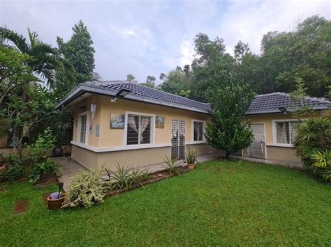 Ruai Bengkulen Laman Kekwa Nilai Updated Prices 2025