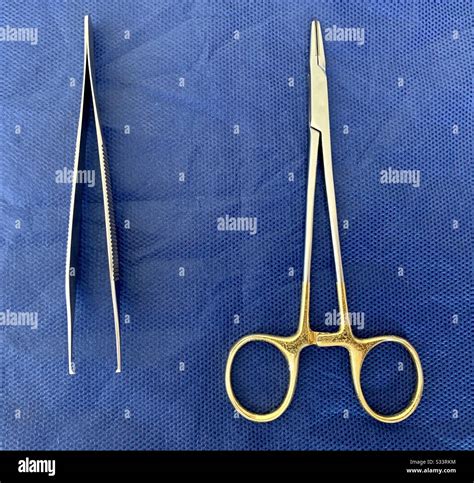 Surgical Instruments Adson Forceps And Nedle Holder Stock Photo Alamy