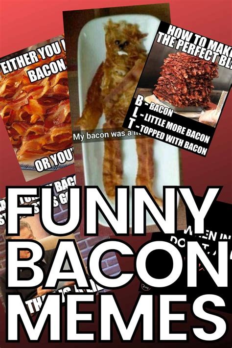 Best Bacon Memes 25 Funny Images Celebrating Bacon Humor