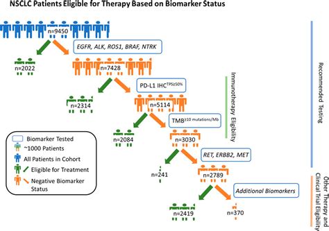 Por Landscape Of Biomarkers In Non Small Cell Lung Cancer Using Comprehensive Genomic