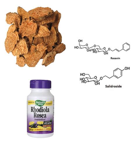 Rhodiola Root Extract Longo Nutritional