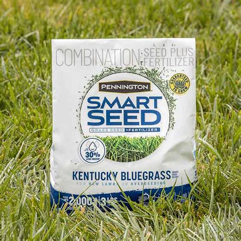 Smart Seed Kentucky Bluegrass - Grass Seed | Pennington