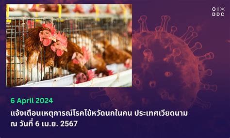 Avian Influenza Update In Vietnam As Of April 6 2024 First Human Case