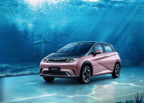 Byd Dolphin Eléctrico Compacto Con Autonomía Superior A Los 400 Km