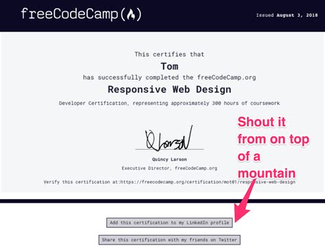 Developers Spent Billion Minutes Using Freecodecamp In And