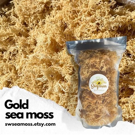 8oz Raw Sea Moss Gold St Lucia Sea Moss Organic Sea Moss Bulk Sea