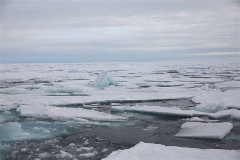 Arctic Ice Extent Is Unlikely To Hit A Record Low Minimum But