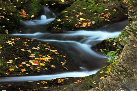 Free Images Landscape Tree Nature Forest Outdoor Rock Waterfall