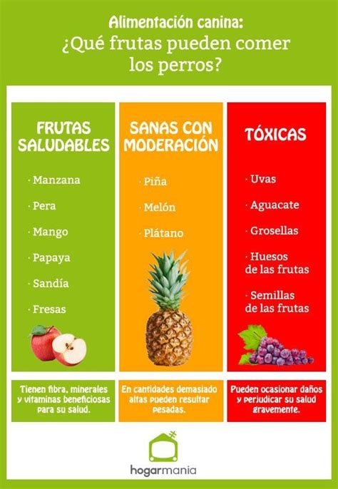 ¿los Perros Pueden Comer Fruta ¿qué Frutas Son Saludables