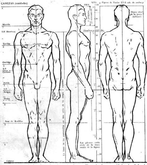 Aprender A Dibujar Personas Paso A Paso Y De Forma Profesional Con Esta